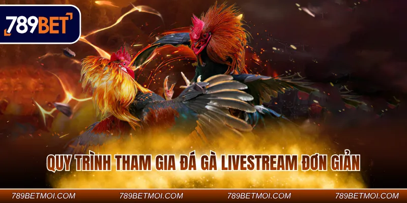 Quy trình tham gia đá gà Livestream đơn giản