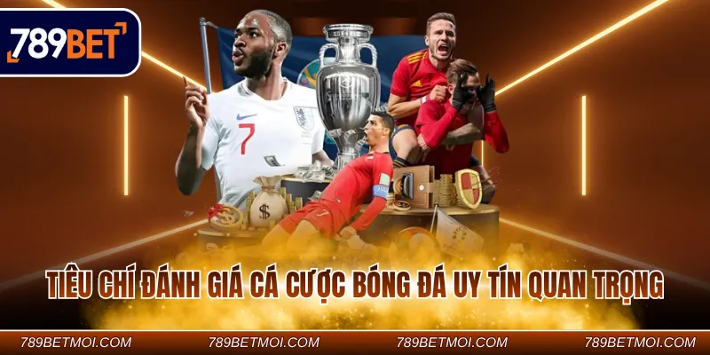 Tiêu chí đánh giá cá cược bóng đá uy tín quan trọng
